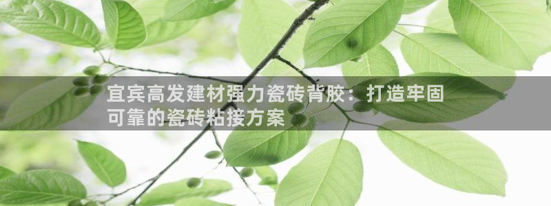 杏鑫平台招商怎么样