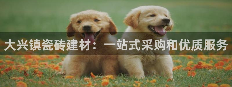 杏鑫官方平台怎么样啊安全吗