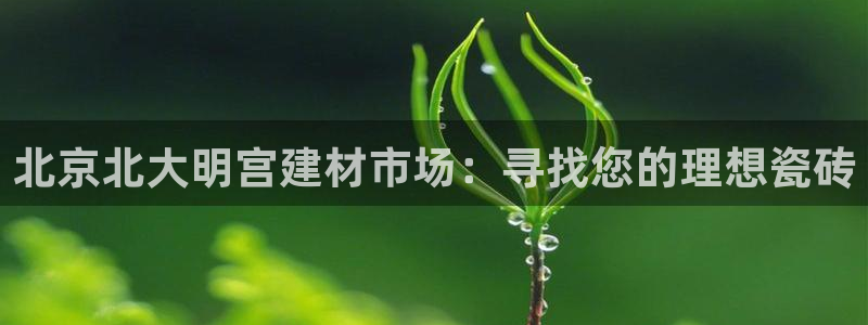 杏鑫平台怎么样黑钱吗安全吗可靠吗
