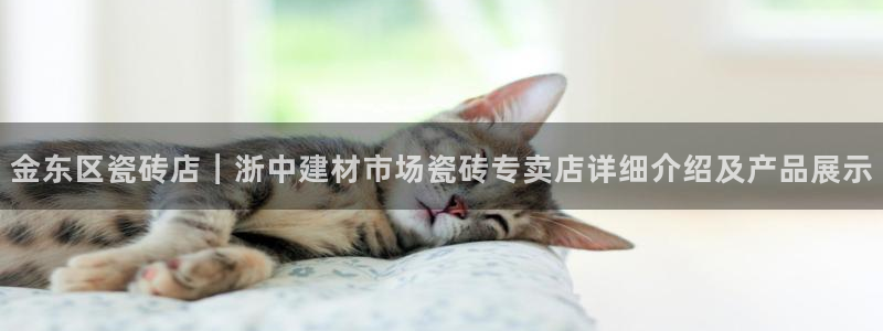 杏鑫平台登录地址查询